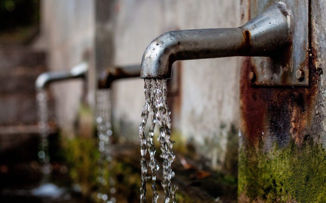 Descubre el mejor precio del agua hidrogenada: beneficios y opciones