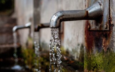 Descubre el mejor precio del agua hidrogenada: beneficios y opciones