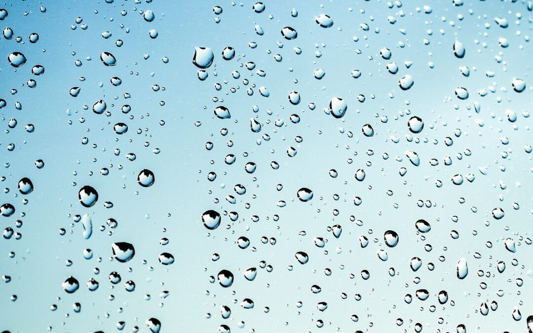 Descubre las opiniones más destacadas sobre el agua hidrogenada: ¿es realmente beneficiosa para la salud?