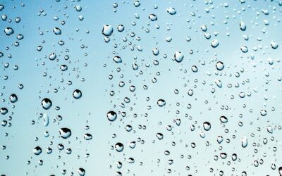 Descubre las opiniones más destacadas sobre el agua hidrogenada: ¿es realmente beneficiosa para la salud?