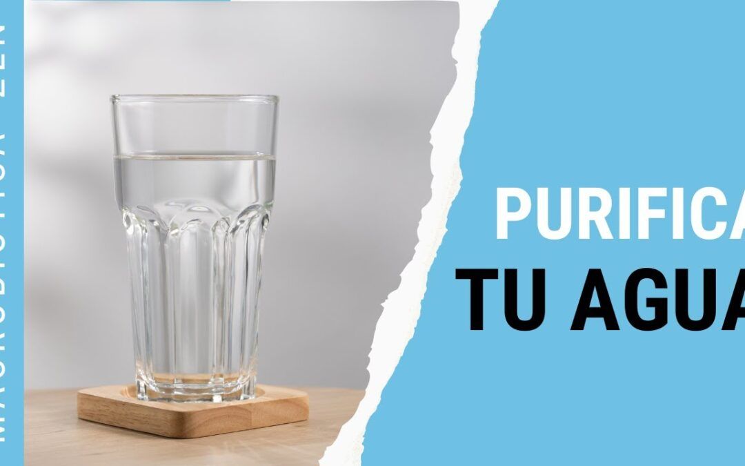 5 métodos efectivos para purificar agua del grifo y disfrutar de una hidratación saludable