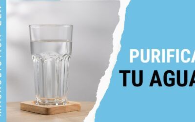 5 métodos efectivos para purificar agua del grifo y disfrutar de una hidratación saludable