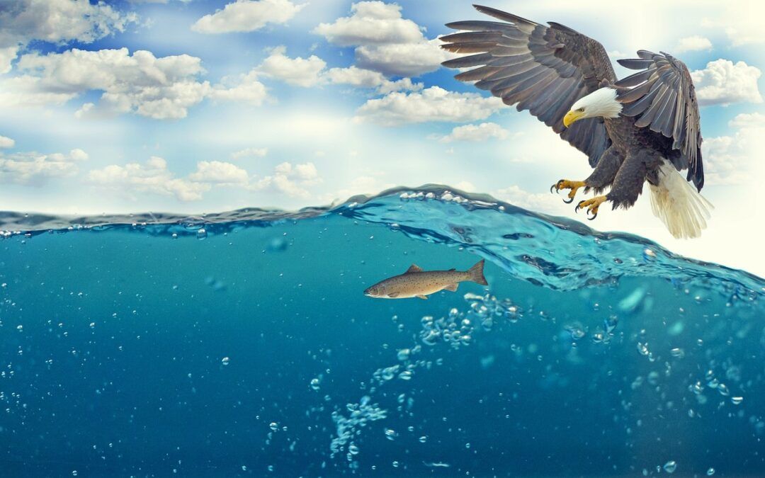 Descubre los beneficios del agua alcalina vs agua kangen: ¿cuál es la mejor opción?